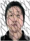 田美木.png